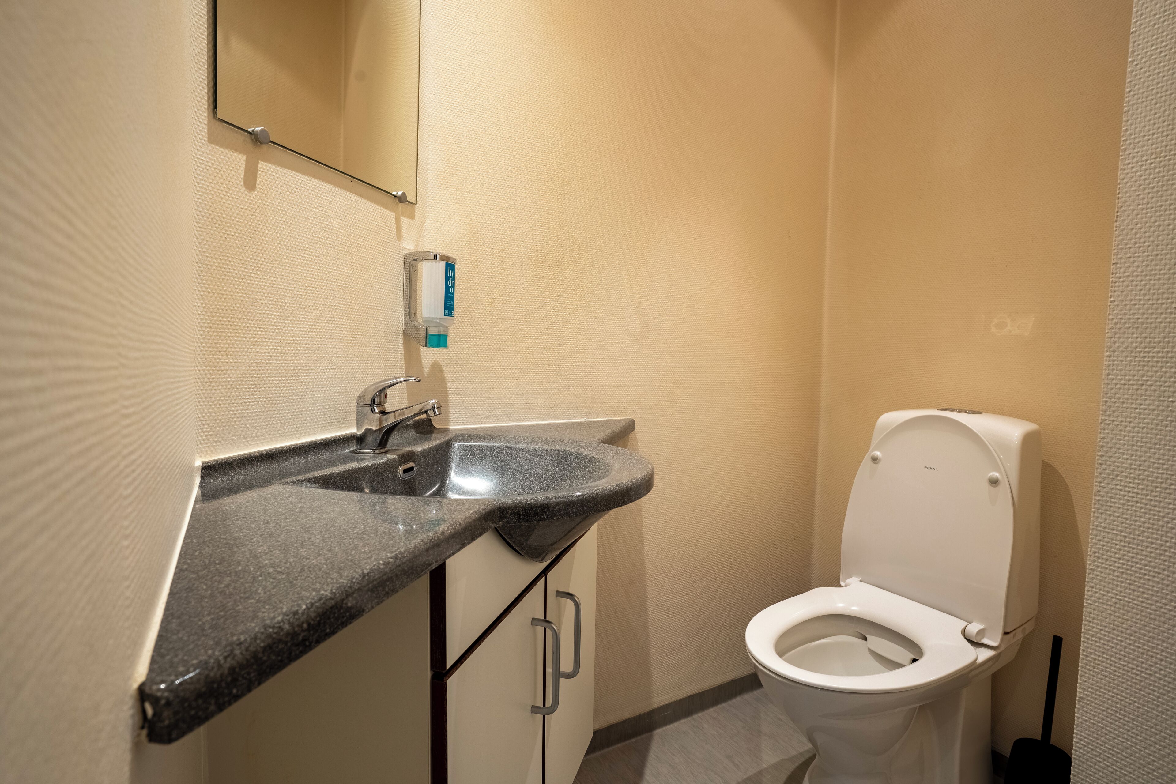 Une salle de bain avec un lavabo à dessus en granit, un miroir, des toilettes et un sèche-mains.