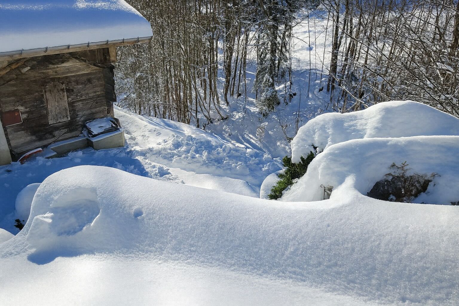 Parco della struttura