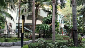 Un edificio moderno con fachada de vidrio, rodeado de exuberante follaje y palmeras.