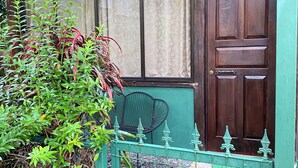 Eine Holztür mit Fenster, ein grüner Stuhl und ein grüner Zaun mit Pflanzen.