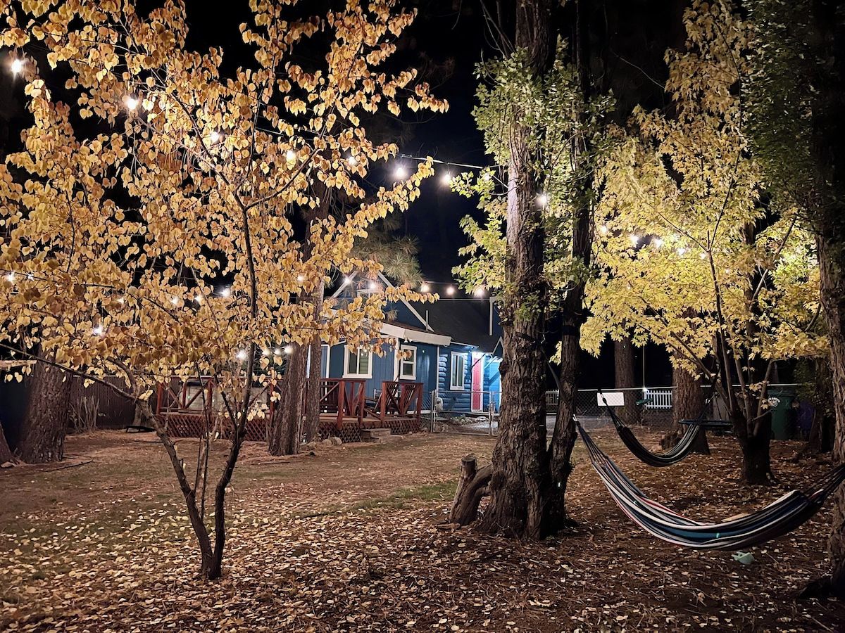 A tree-lined pathway leading to a building with a porch and outdoor seating.