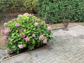 A garden area with a large bush of pink hydrangea flowers and a metal trash can. - Dorfliebe Minden Vacation Apartment by Engelmann (Minden)