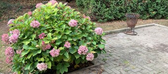 Vacation apartment Dorfliebe Minden by Engelmann