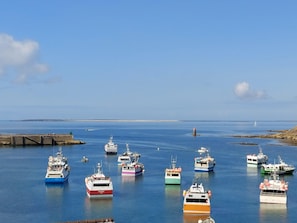 Vista desde la propiedad