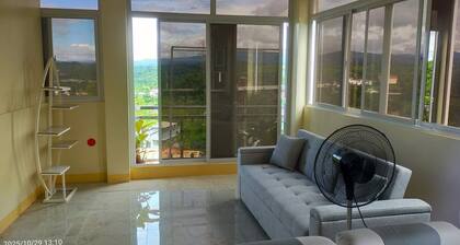 Entire rental unit - bright space and a magnificent overlooking view of area.