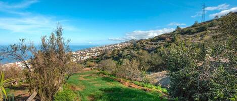 House | View from property