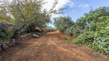 House | Interior detail