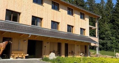 Dog-friendly Holiday Apartment in Bregenzerwald