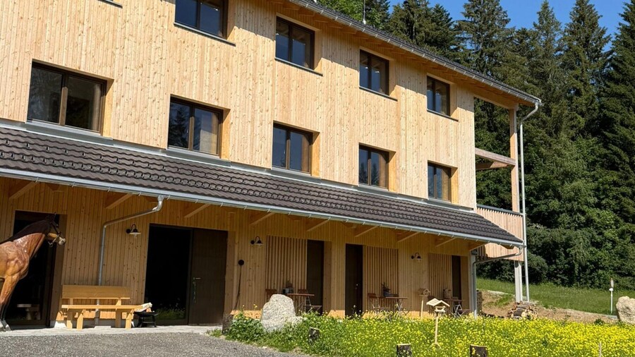 Dog-friendly Holiday Apartment in Bregenzerwald
