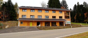 Dog-friendly Holiday Apartment in Bregenzerwald