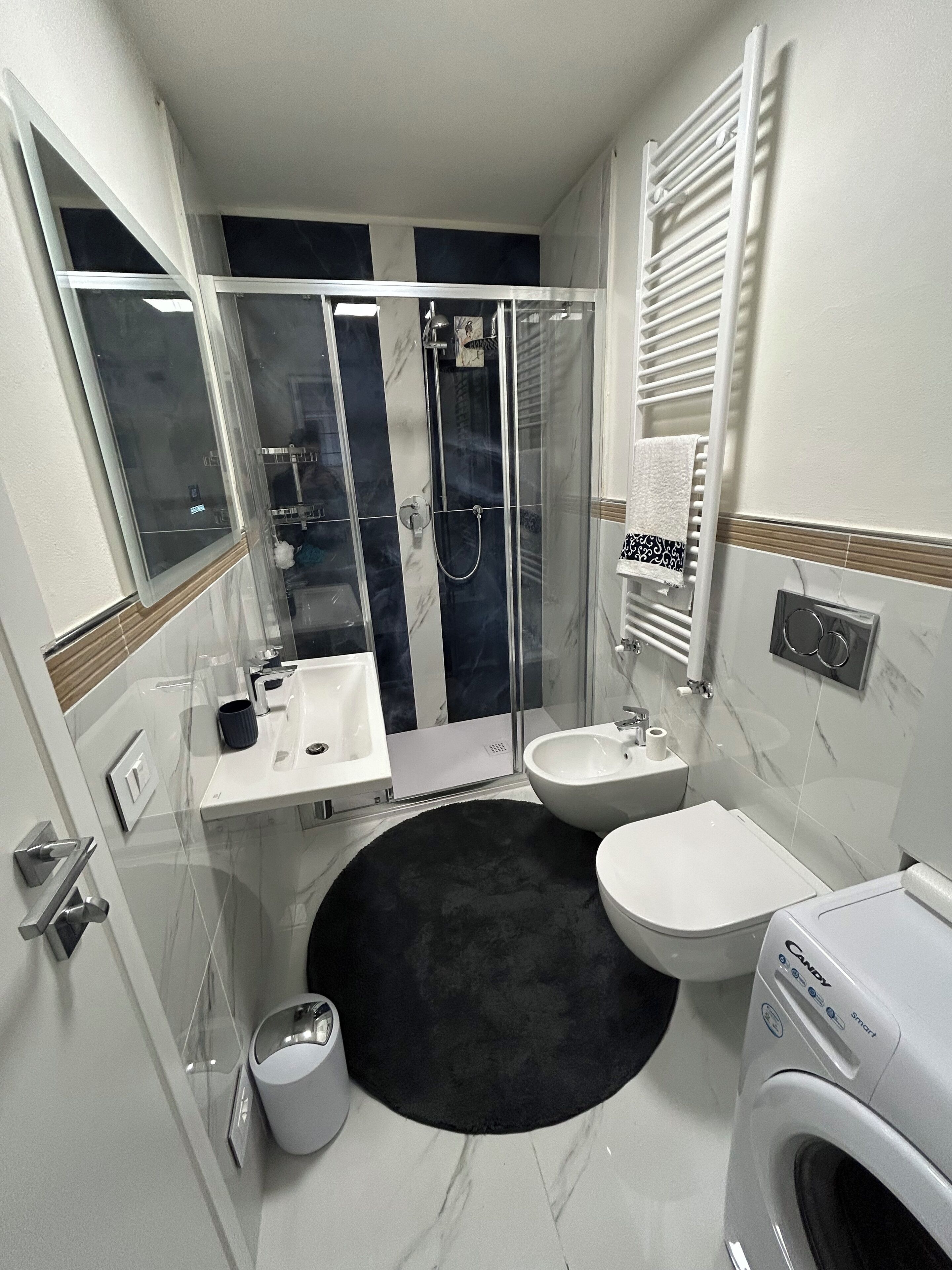 Shower, hair dryer, bidet, towels