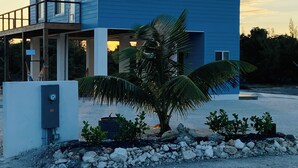 Une maison moderne à deux étages, dotée d’un balcon, de climatiseurs et d’un palmier dans le jardin.