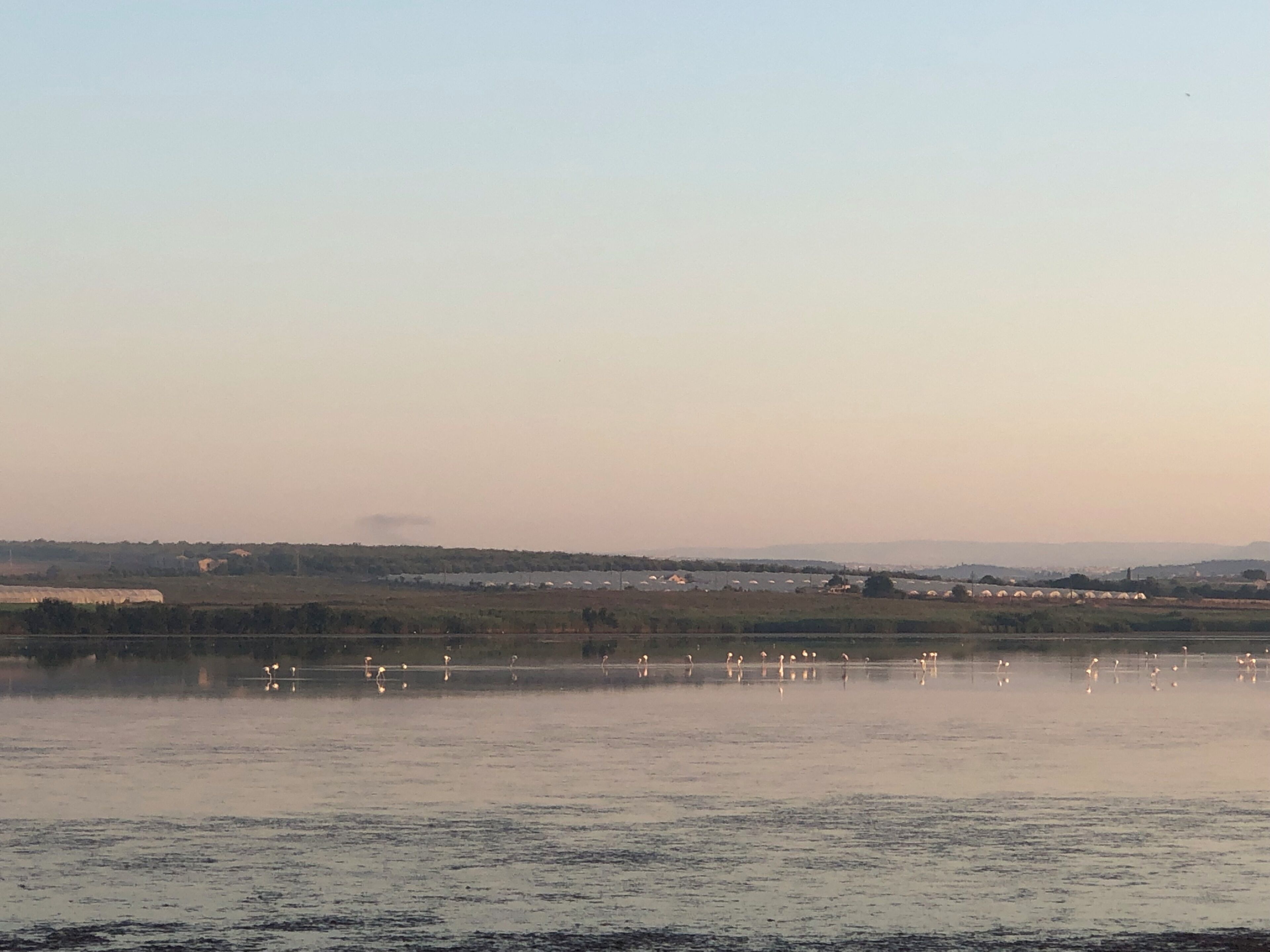 A calm lake with reflections of the sky and distant buildings.