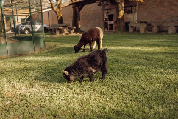 المنطقة المحيطة بالمنشأة
