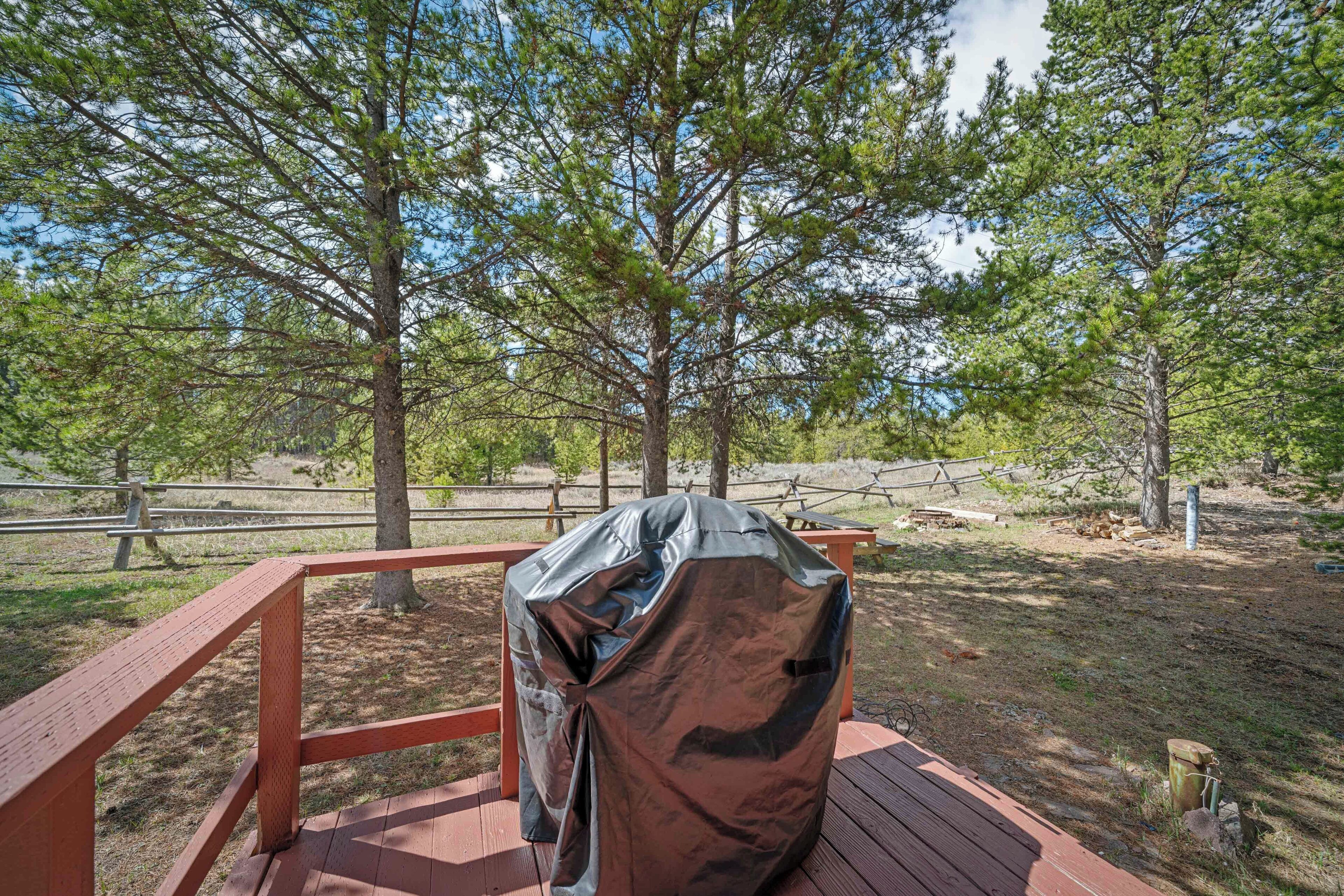 BBQ/picnic area