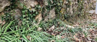 Historic Carrie Tucker Cottage with view of Spring River in charming Hardy, Ark.