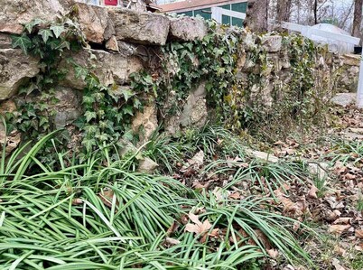 Historic Carrie Tucker Cottage with view of Spring River in charming Hardy, Ark.