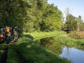 Apartment | View from property - Modern Apartment in Bree With Parking (Bons Villers)