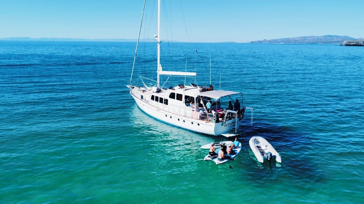 Bild für Gastgeberprofil