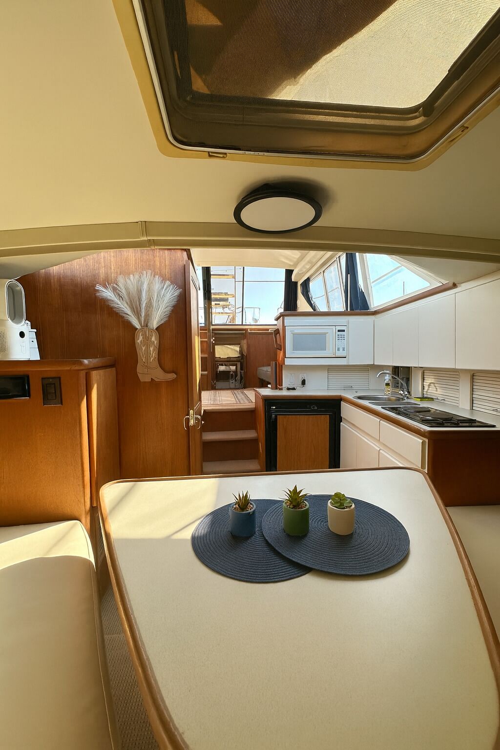 Mikrobølgeovn og kokeplater