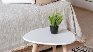 Une pièce avec un canapé beige, un coussin blanc et une petite plante en pot posée sur une table blanche.