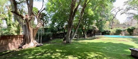 Áreas de la propiedad