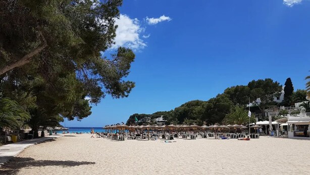 Una playa con sombrillas, sillas de descanso y un cielo despejado.