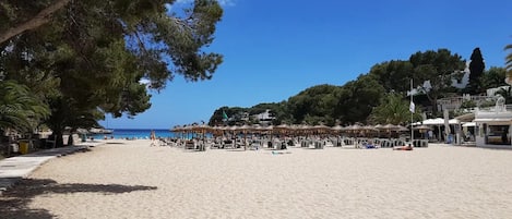 Playa en los alrededores