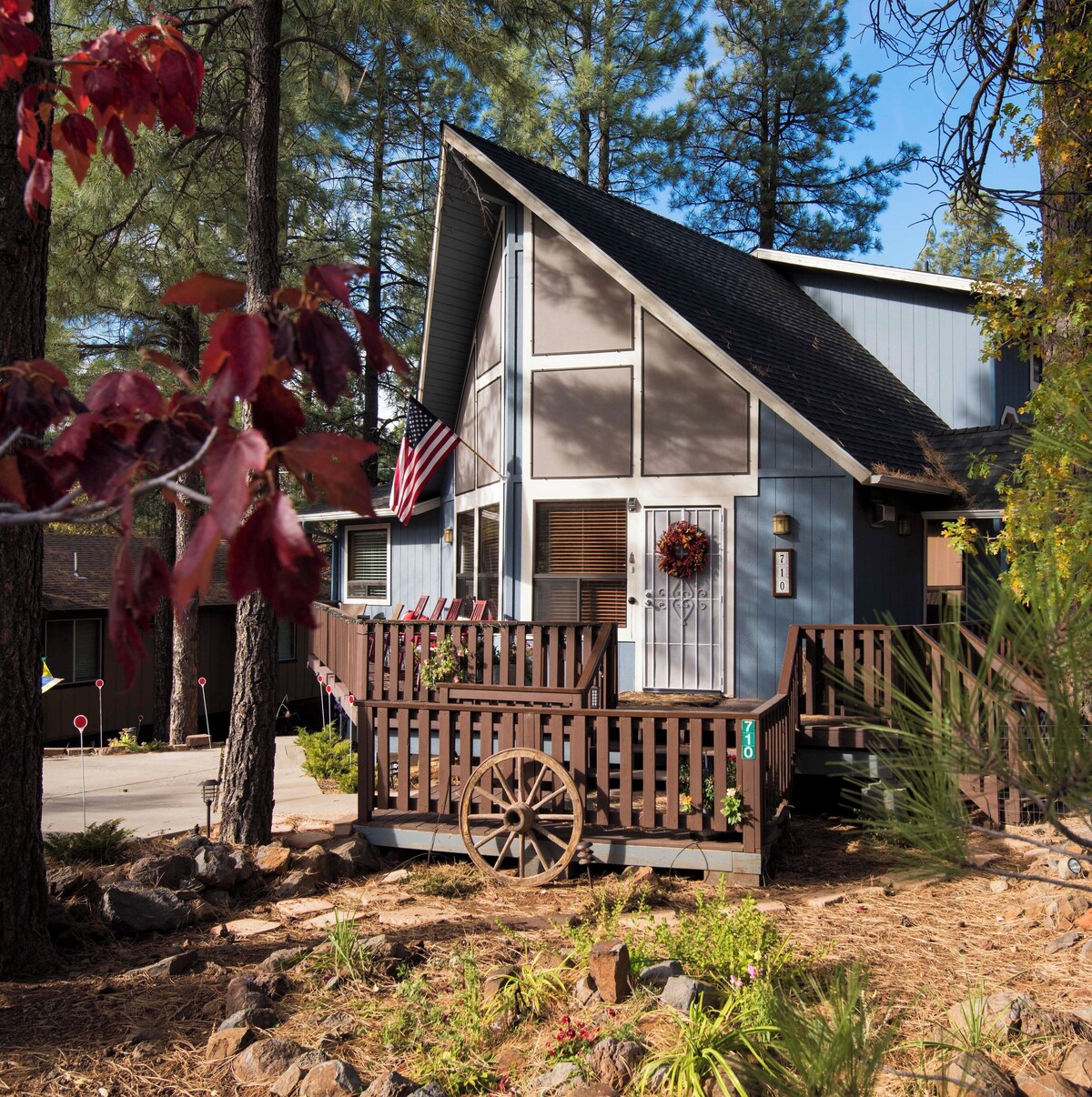 Image de profil de l’hôte