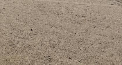 Charming 2-bedroom home in Point Sebago Resort located at 37 Purple Road -