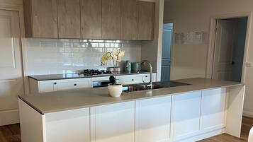 Microondas, horno, placa de cocina, lavavajillas