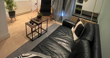 Cozy flat in Belfast
