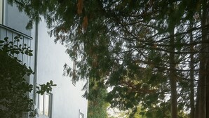 Una terraza de madera que conduce a una casa con un sendero en el jardín.