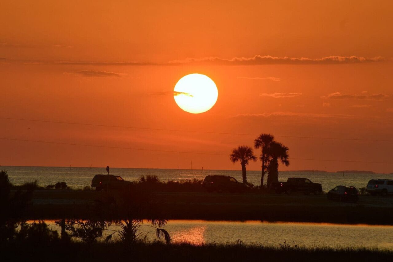A sunset over a body of water with palm trees and vehicles in the foreground.