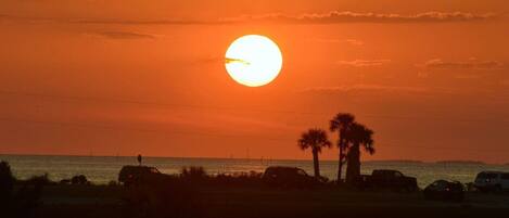 A sunset over a body of water with palm trees and vehicles in the foreground.