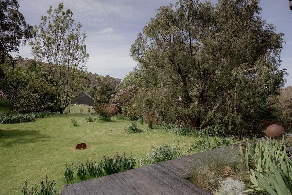 A grassy area with a wooden deck, a small shed, and dense trees.