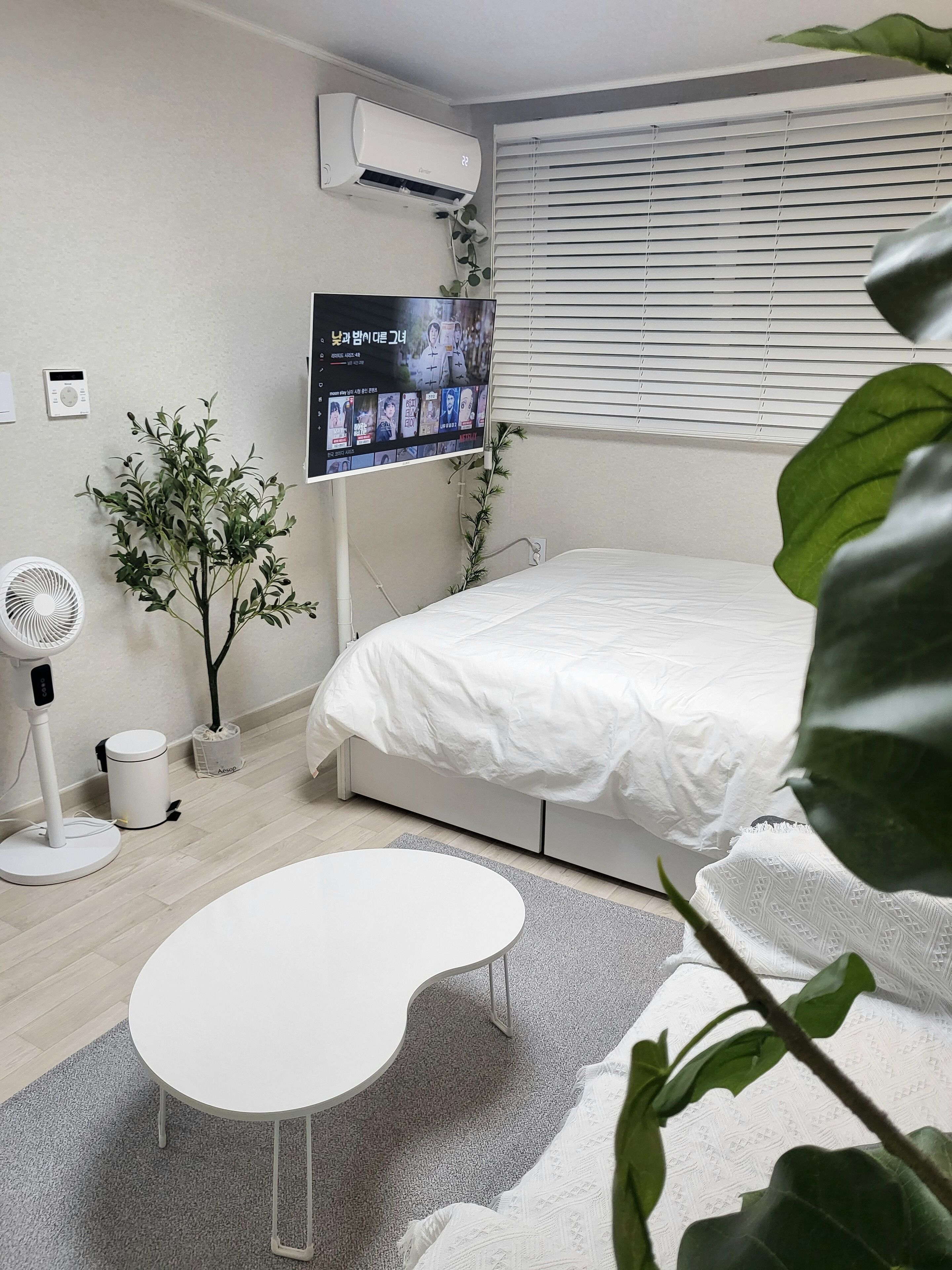 A modern bedroom with a bed, a TV mounted on the wall, a standing fan, and a small potted plant.