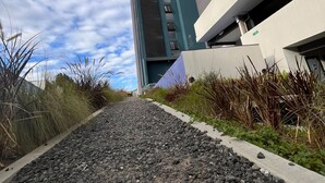 Ein Weg führt zu einem modernen Gebäude mit Glas- und Betonfassaden, umgeben von begrünten Flächen mit verschiedenen Pflanzen.
