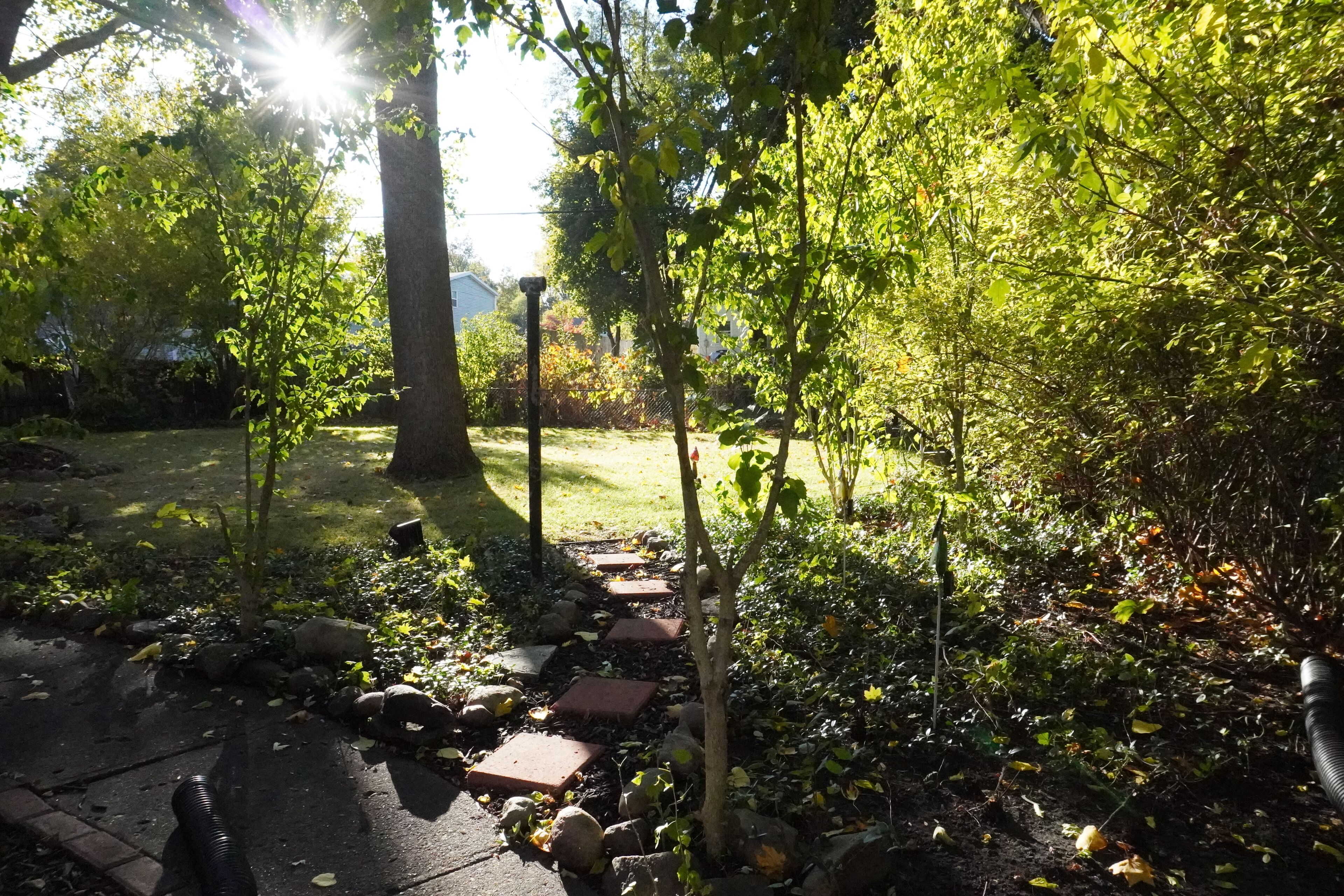 Jardines del alojamiento
