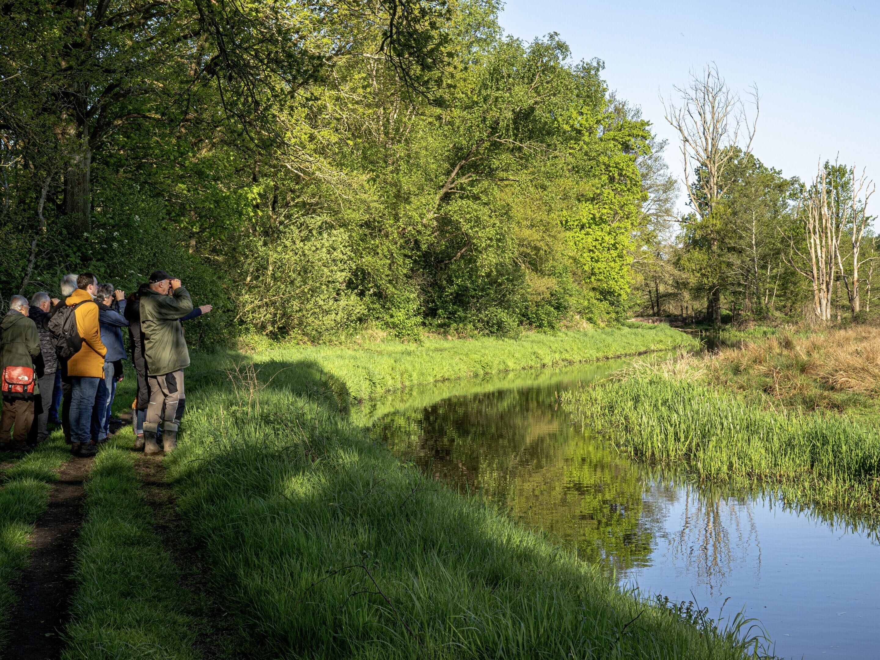 A group of people standing by a calm water body surrounded by lush greenery.
