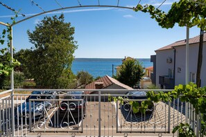House | View from property - Villa With Infinity Pool, spa (Jasenice)