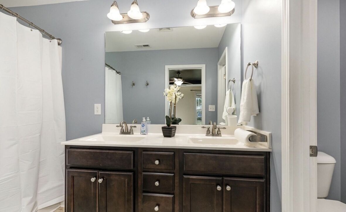 Asciugamani, carta igienica