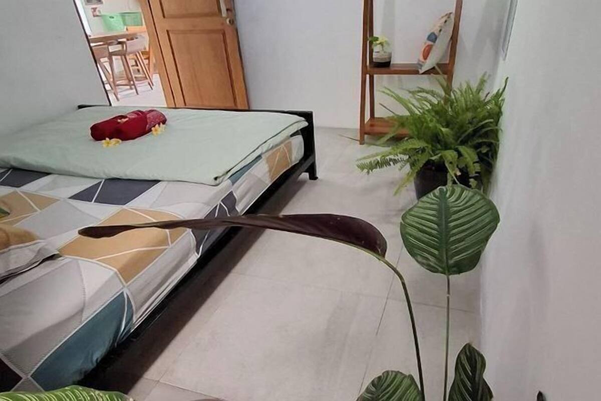 A bedroom with a bed, a wooden door, and a shelf with plants.