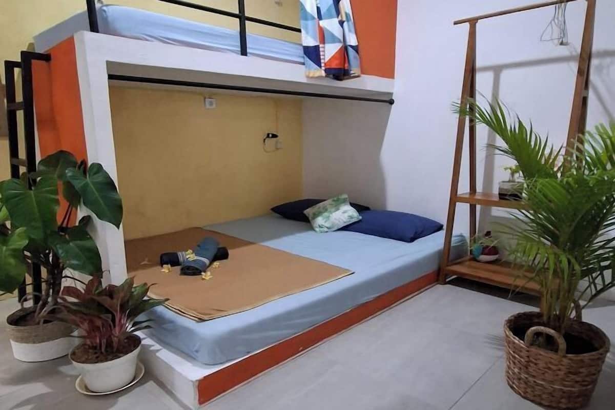 A bunk bed with a lower sleeping area, a small table with a mat, and potted plants.