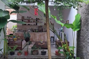 Une cuisine compacte avec un coin bar, entourée de plantes en pot et d’un arbre.