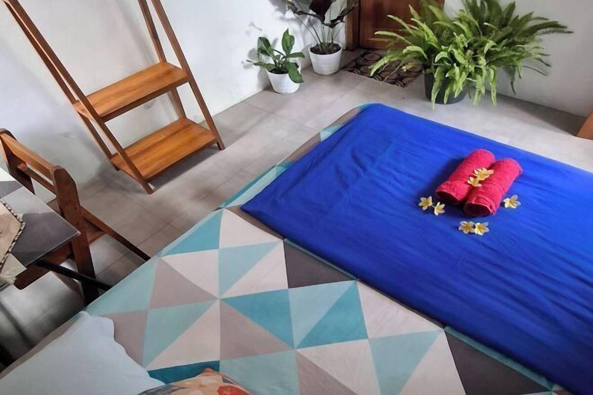 A room with a bed, a wooden chair, a small table, and several potted plants.
