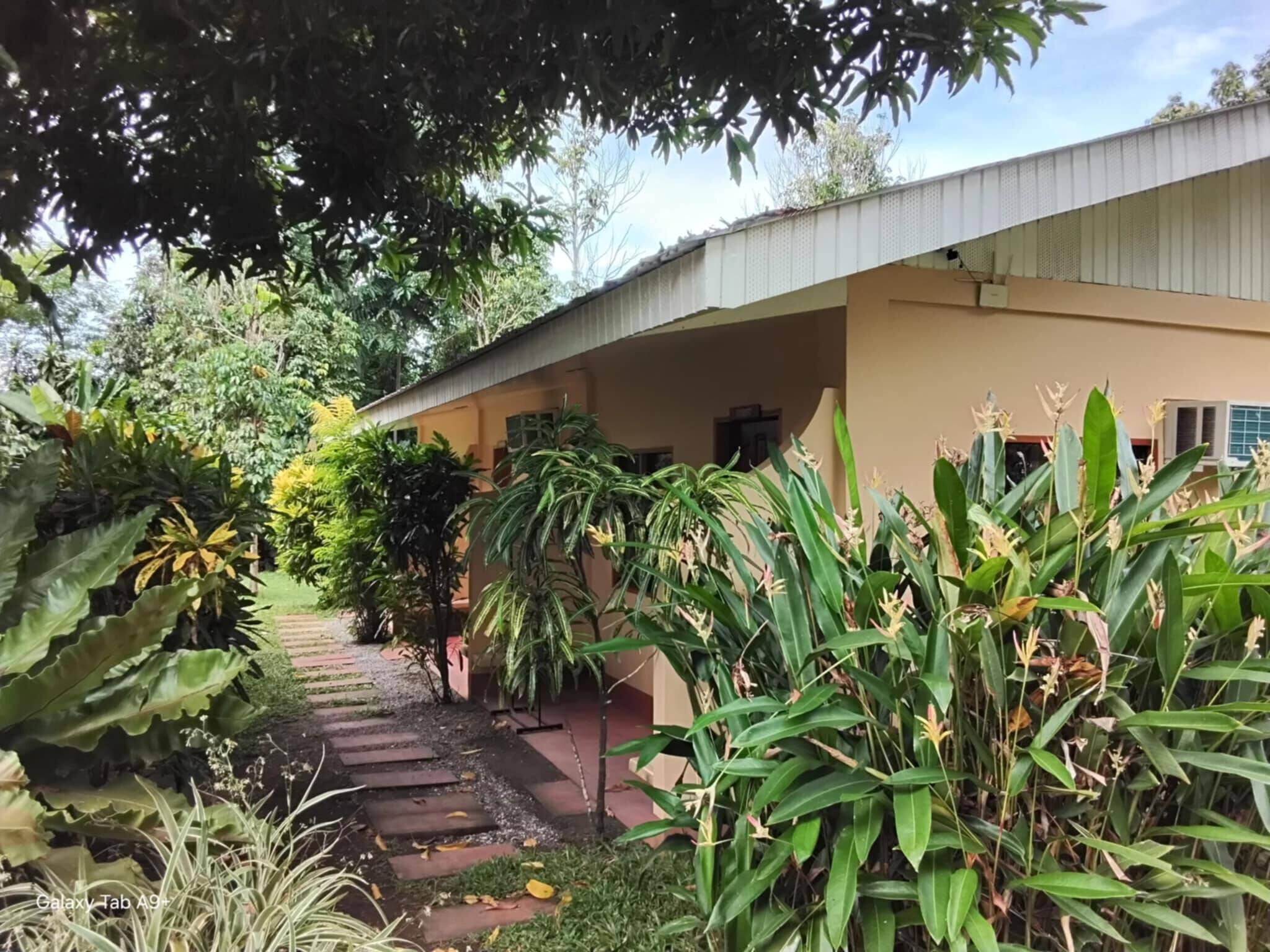 Kamar, 1 kamar tidur, akses difabel, pemandangan kebun | Taman