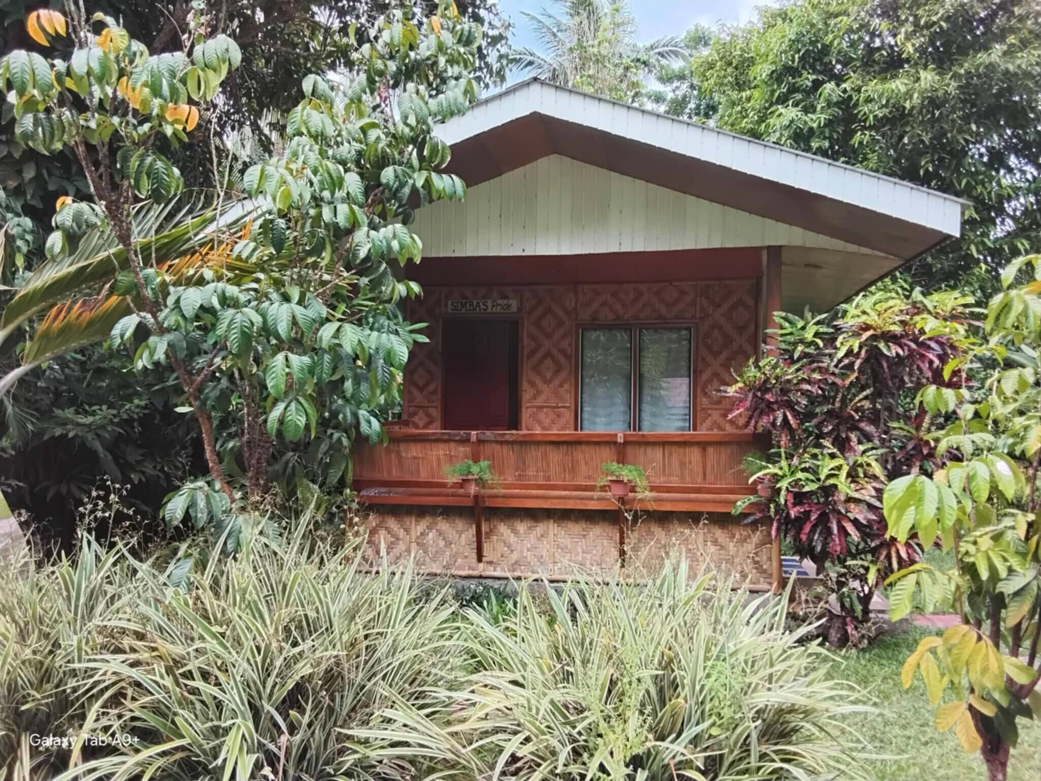 Kamar, 1 kamar tidur, balkon, pemandangan kebun | Eksterior