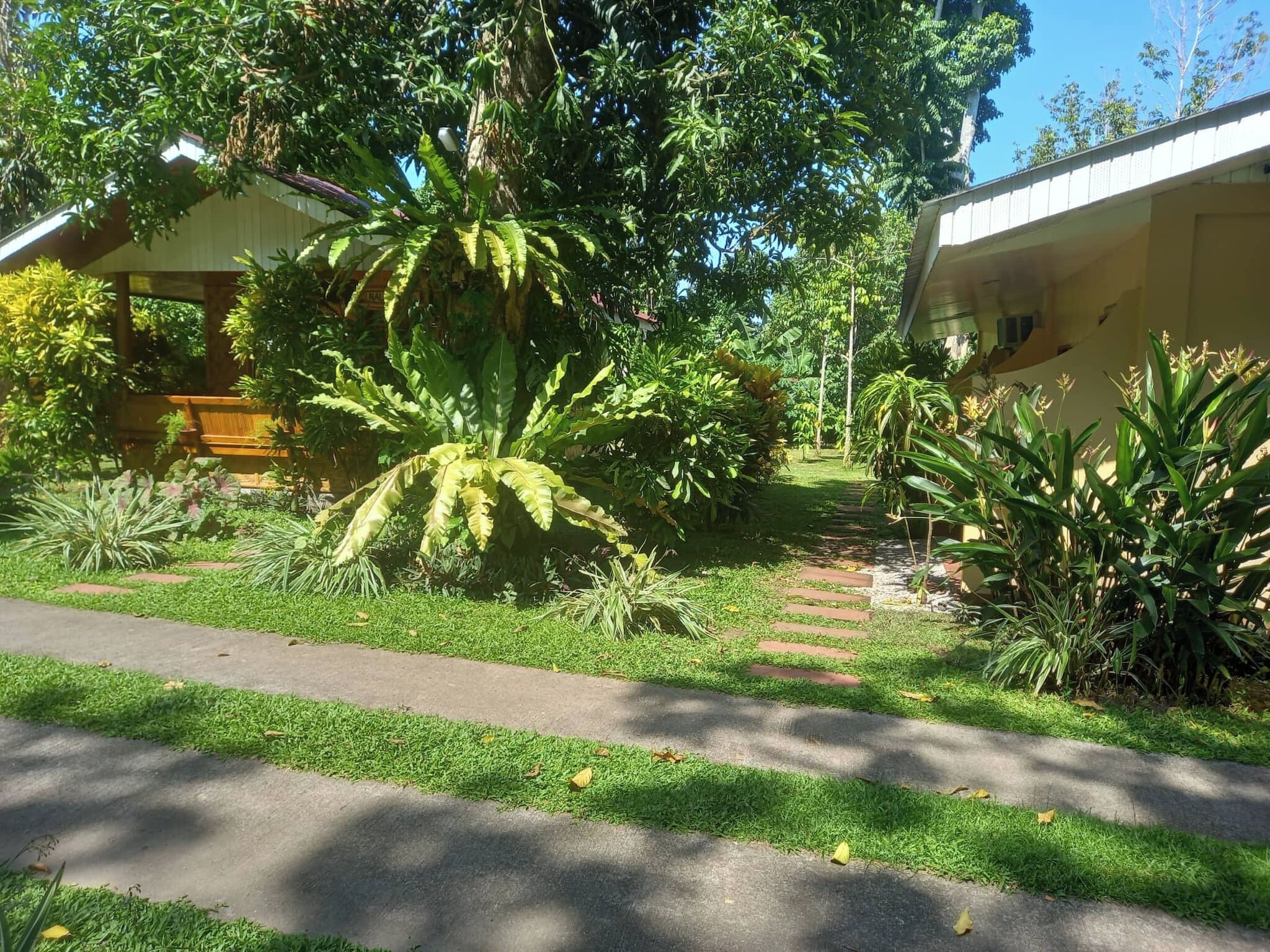 Room, 1 Bedroom, Balcony, Garden View | Garden