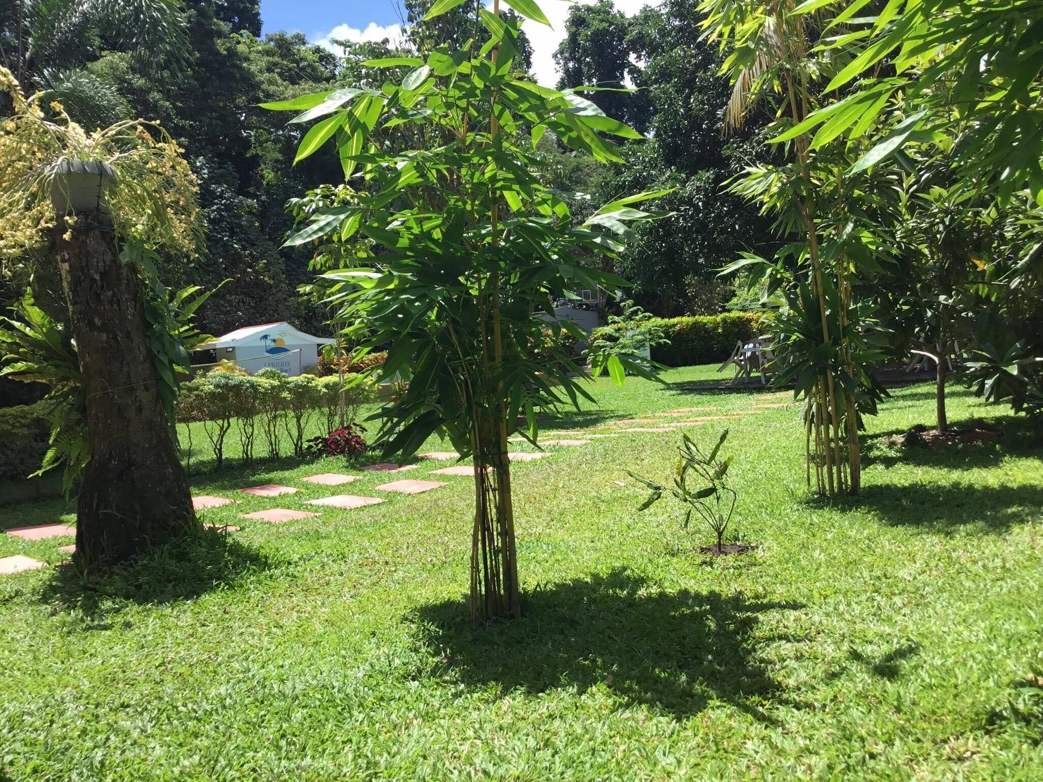 Room, 1 Bedroom, Accessible, Garden View | Garden